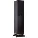 Fyne Audio F501E Black