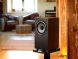 Tannoy REVOLUTION XT 6 DARK WALNUT